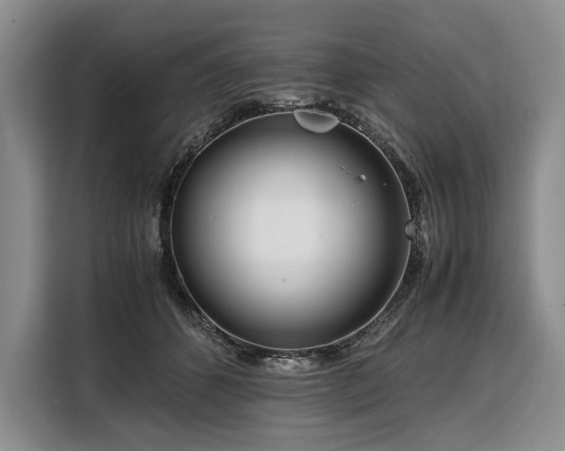 X0000108480512200904091440