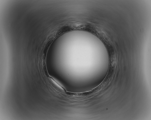 X0000108480515200904091440