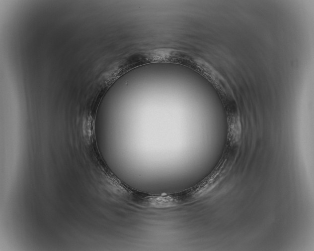 X0000108480525200904091440