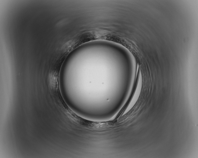 X0000108480527200904091440