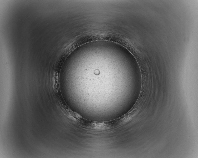X0000108480528200904091440