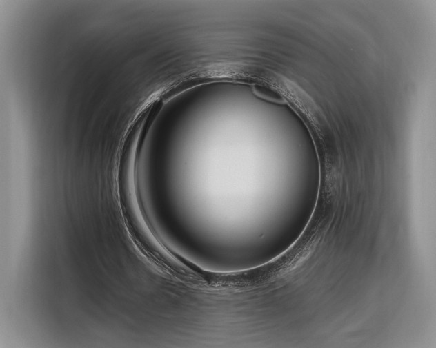 X0000108480530200904091439