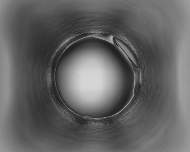 X0000108480531200904091439
