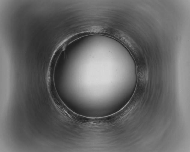 X0000108480532200904091439