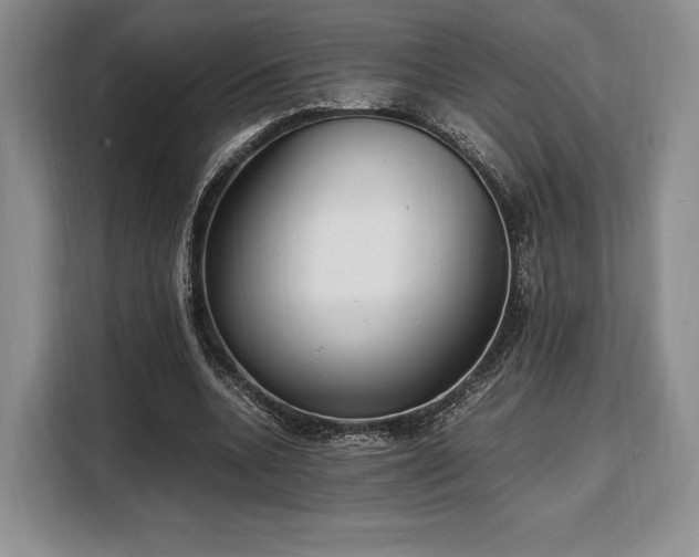 X0000108480536200904091439