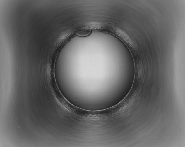 X0000108480538200904091439