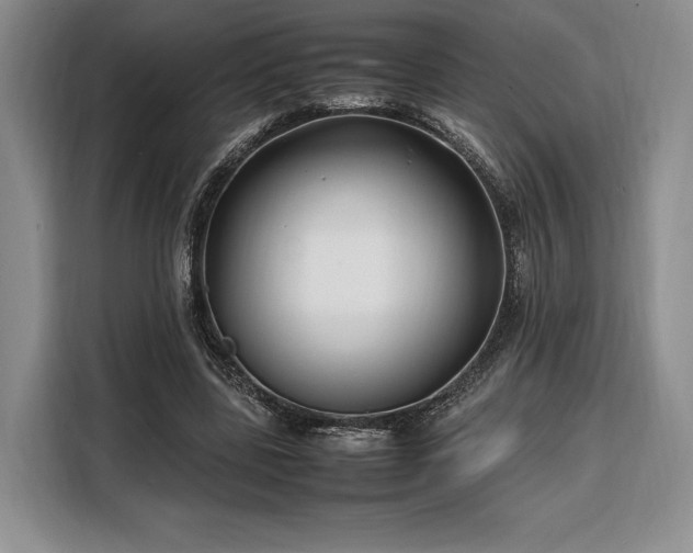 X0000108480539200904091439
