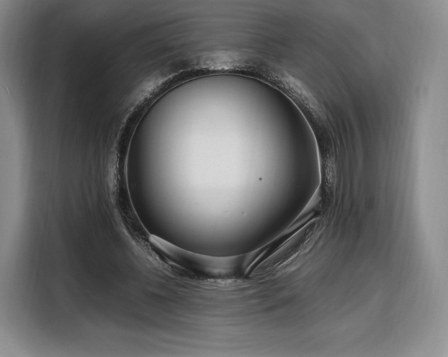 X0000108480540200904091439