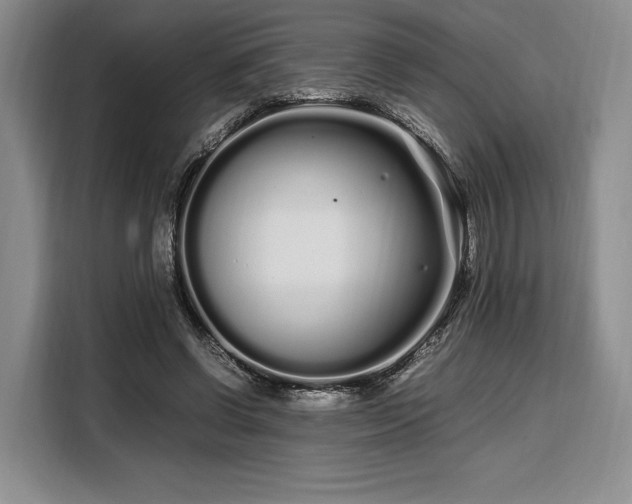 X0000108480542200904091439