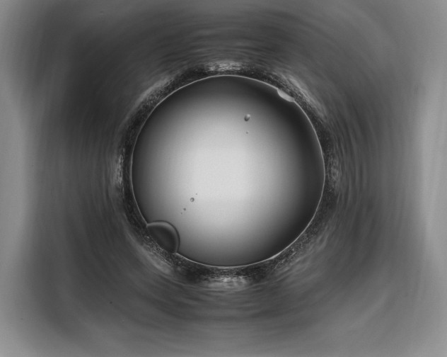 X0000108480543200904091439