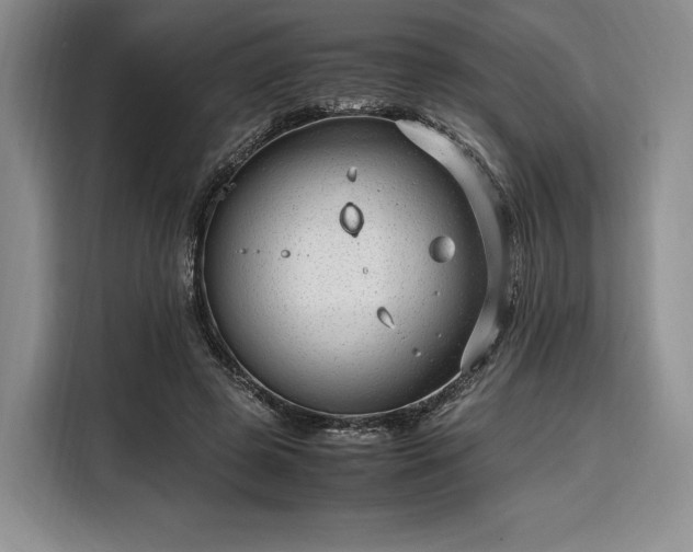X0000108480545200904091439
