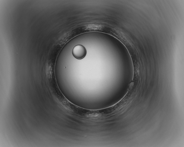 X0000108480551200904091439