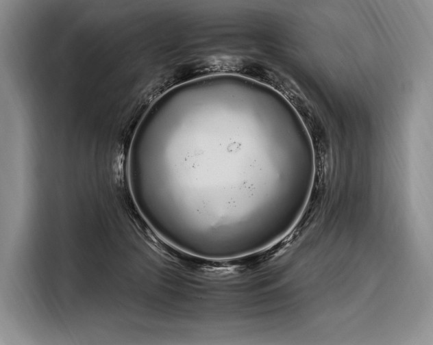 X0000108480553200904091439