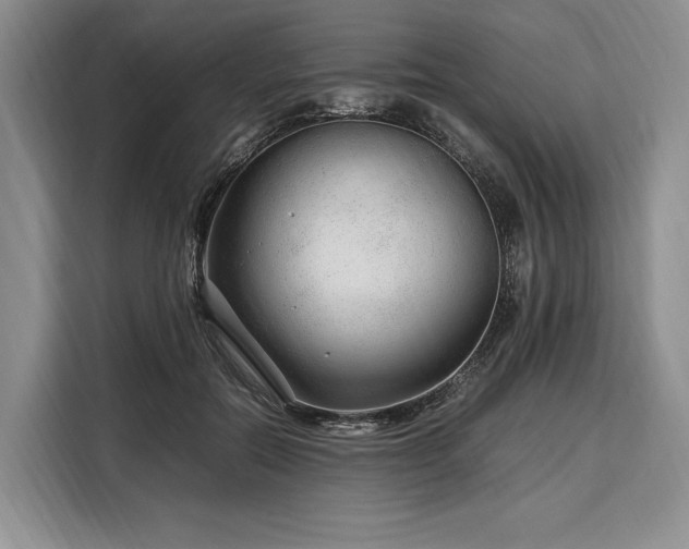 X0000108480554200904091439
