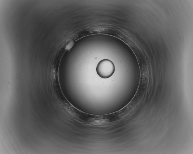 X0000108480555200904091439