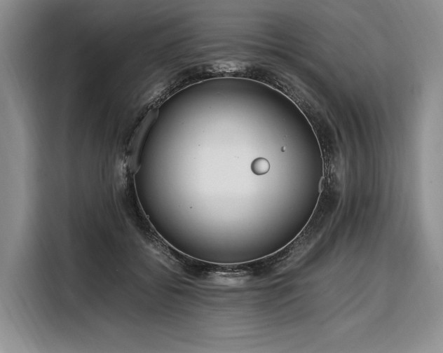 X0000108480556200904091439