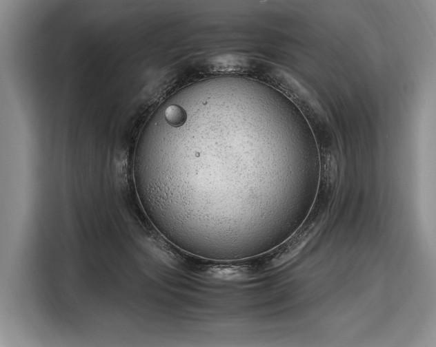X0000108480557200904091439