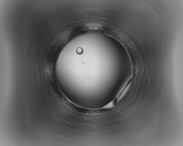 X0000108480559200904091439