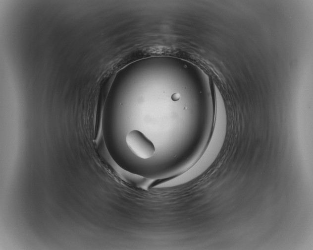 X0000108480569200904091440