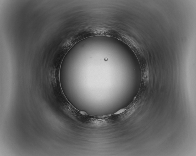 X0000108480572200904091440