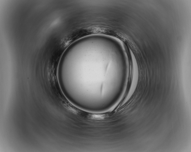 X0000108480573200904091440