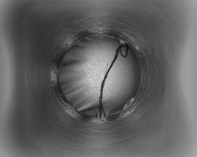 X0000108480576200904091440