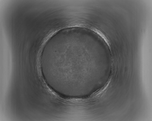 X0000108480577200904091439