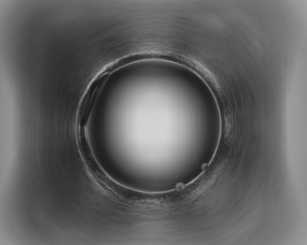 X0000108480580200904091439