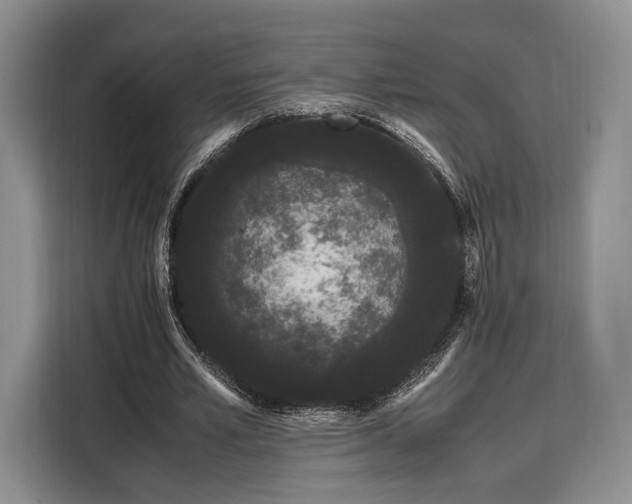 X0000108480581200904091439