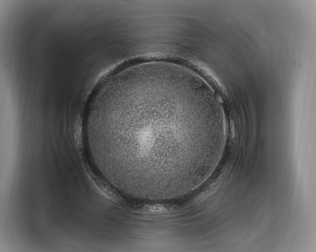 X0000108480588200904091439