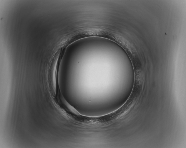 X0000108480589200904091439