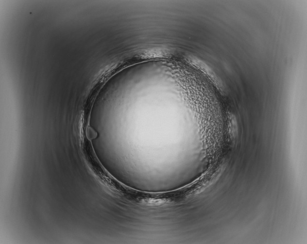 X0000108480590200904091439