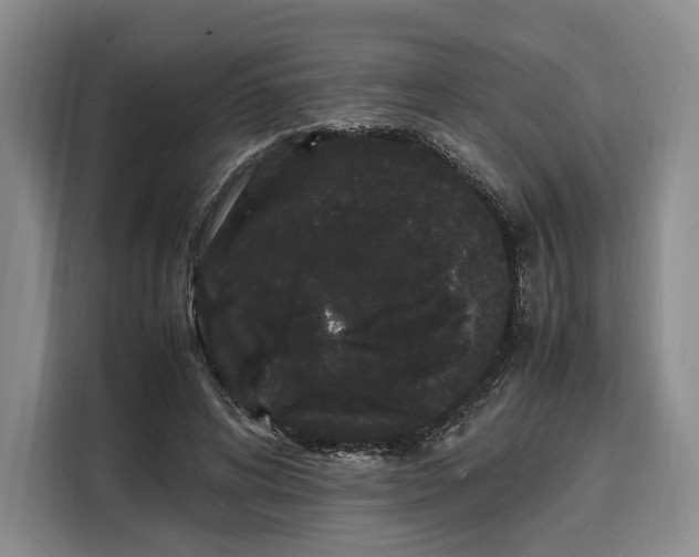 X0000108480592200904091439