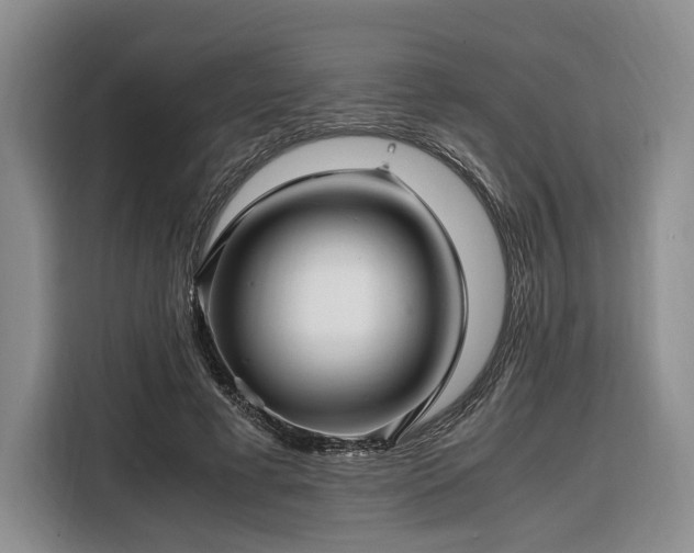 X0000108480593200904091439