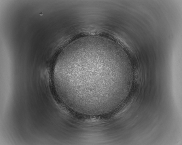 X0000108480594200904091439