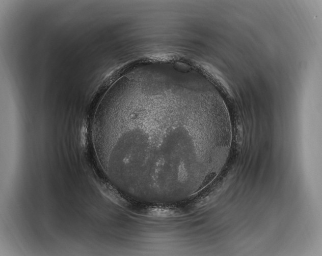 X0000108480596200904091439