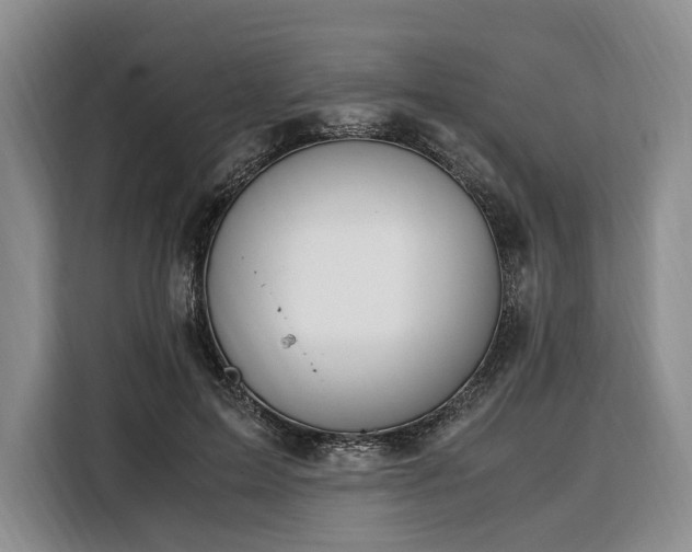 X0000108480599200904091439