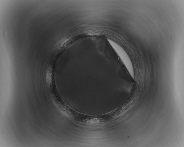 X0000108480600200904091439