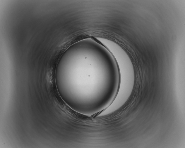 X0000108480604200904091439
