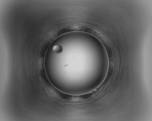X0000108480605200904091439