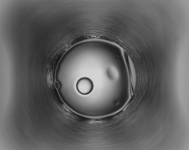 X0000108480606200904091439