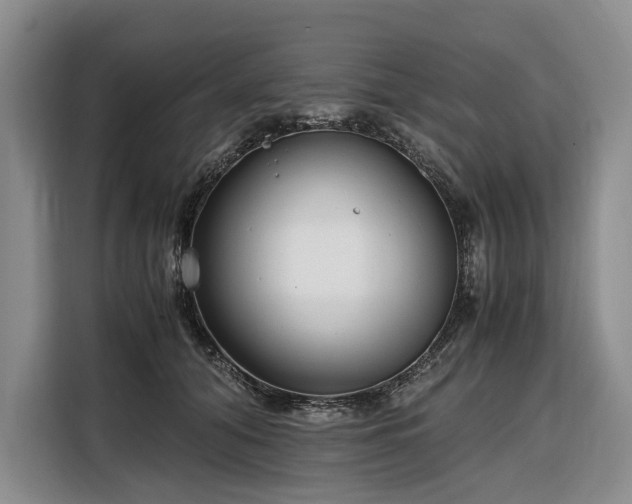 X0000108480608200904091439