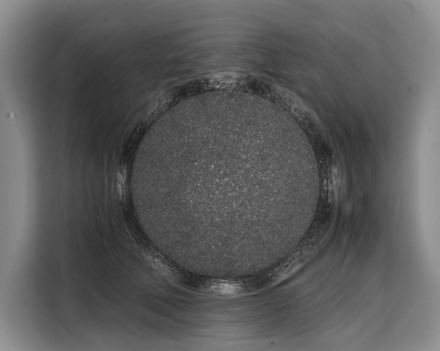 X0000108480610200904091439