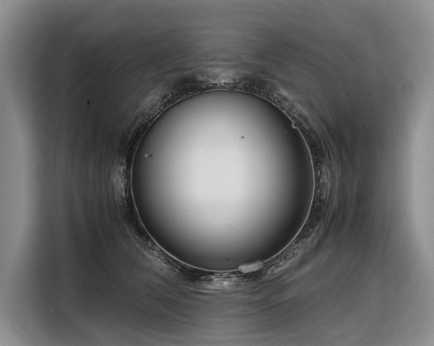 X0000108480612200904091438