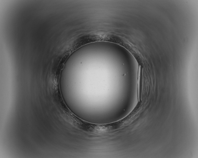 X0000108480613200904091438