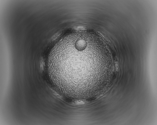 X0000108480618200904091438