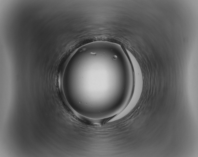 X0000108480619200904091438