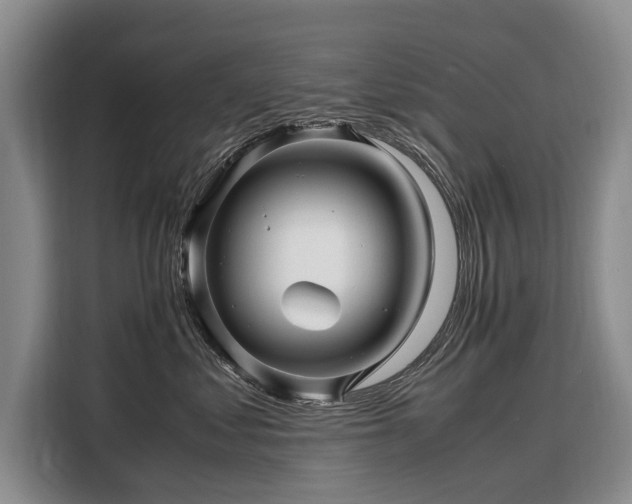 X0000108480621200904091438