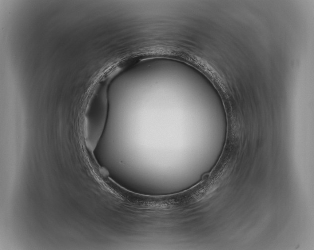 X0000108480625200904091438