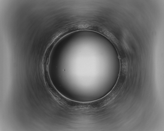 X0000108480626200904091438